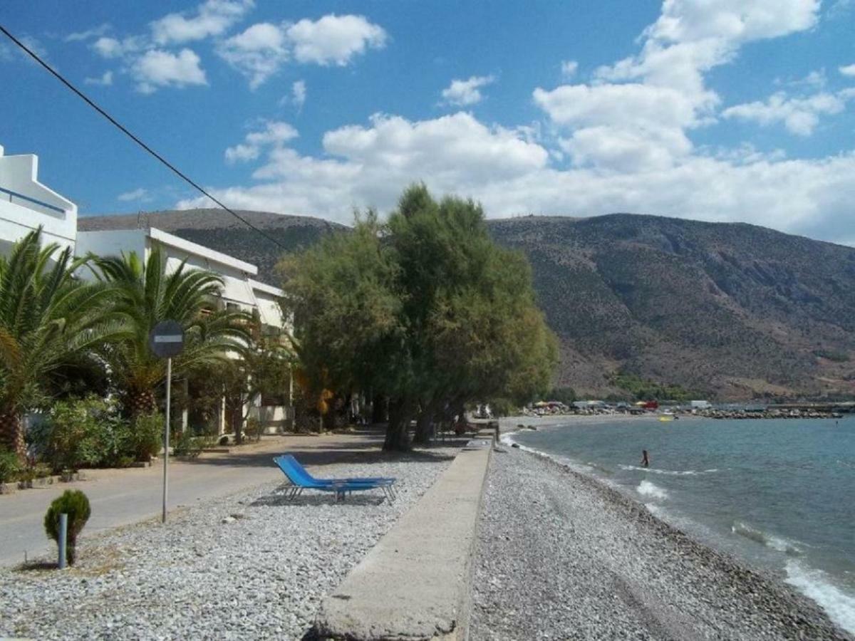 Апартаменты Luxury Seafront House Nearby Delphi Kirra Экстерьер фото
