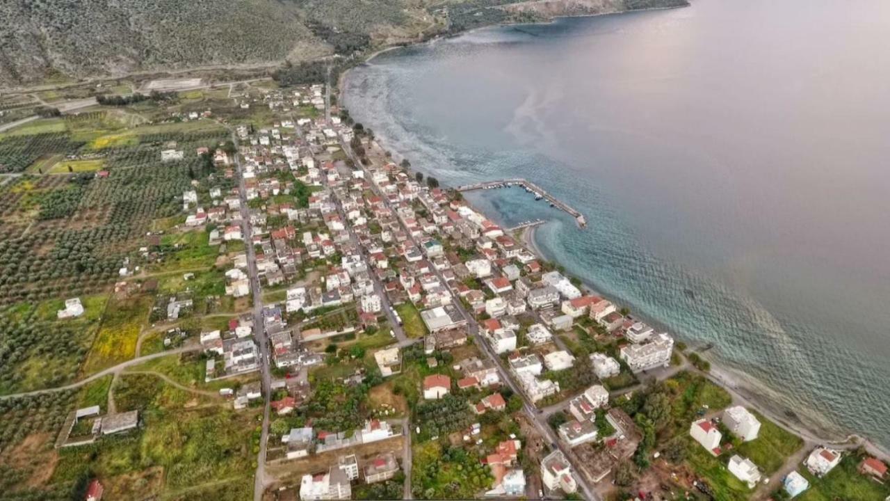 Апартаменты Luxury Seafront House Nearby Delphi Kirra Экстерьер фото